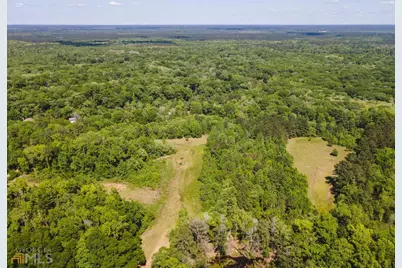 0 Old River Road S #LOT 31, Brooklet, GA 30415 - Photo 1