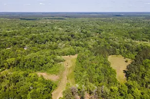 0 Old River Rd S, Brooklet, GA 30415 - Photo 1