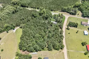 810 Simpsontown Rd, Newington, GA 30446 - Photo 39
