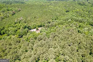 4271 Veazey Rd, Greensboro, GA 30642 - Photo 59