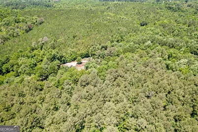 4271 Veazey Road, Greensboro, GA 30642 - Photo 59