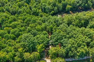 116 Tall Tree Ln, Jackson, GA 30233 - Photo 45