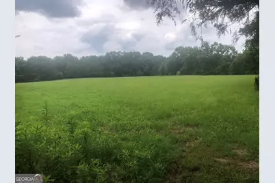 517 Trice Cemetery Road, Thomaston, GA 30286 - Photo 33