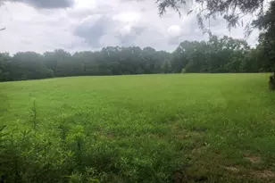 517 Trice Cemetery Rd, Thomaston, GA 30286 - Photo 33