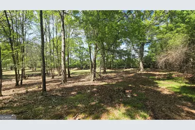 213 Duncan Swindle Road, Commerce, GA 30530 - Photo 85