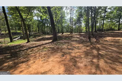 213 Duncan Swindle Road, Commerce, GA 30530 - Photo 65