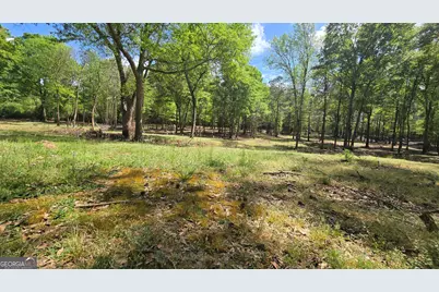 213 Duncan Swindle Road, Commerce, GA 30530 - Photo 81