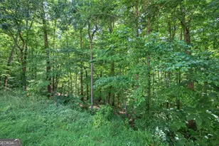 302 Waterfall Ct, Canton, GA 30115 - Photo 53