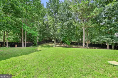 84 Blossom Lane, Newnan, GA 30263 - Photo 45
