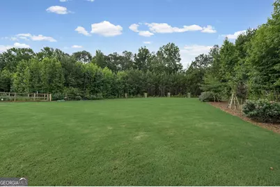 185 Cedara Drive, Newnan, GA 30263 - Photo 49