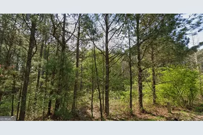 0 Collard Valley Road #LOT 1, Aragon, GA 30104 - Photo 5