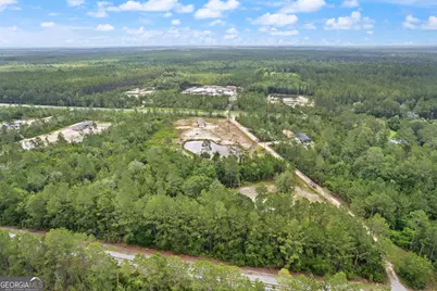 6064 S US Highway 301, Jesup, GA 31546 - Photo 3