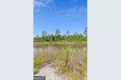 6064 S US Highway 301, Jesup, GA 31546 - Photo 7