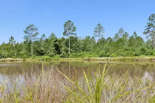 6064 S US Hwy 301, Jesup, GA 31546 - Photo 7