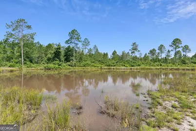 6064 S US Highway 301, Jesup, GA 31546 - Photo 9