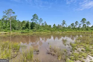 6064 S US Hwy 301, Jesup, GA 31546 - Photo 9