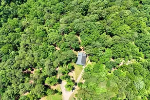 331 Blackberry Trail, Ball Ground, GA 30107 - Photo 43