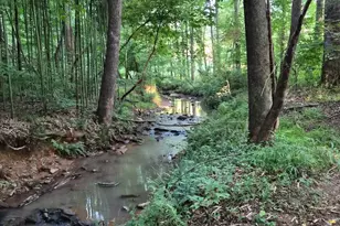 1100 Langford Carey Rd, Danielsville, GA 30633 - Photo 11