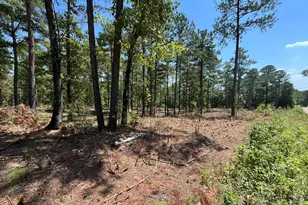 Lot 17 Gordon Rd, Forsyth, GA 31029 - Photo 1