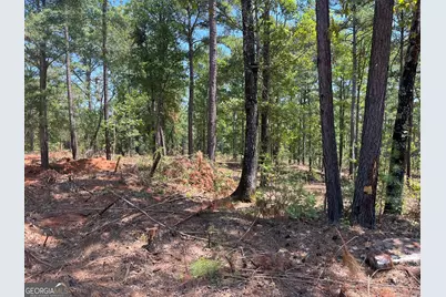 Lot 17 Gordon Road, Forsyth, GA 31029 - Photo 3