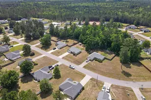 40 J.R. Dr, Ellabell, GA 31308 - Photo 39