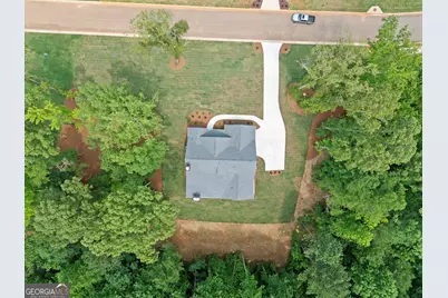 299 Cammie Way #LOT 46, Williamson, GA 30292 - Photo 39