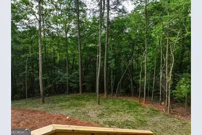 257 Gallery Court, Ellijay, GA 30540 - Photo 49