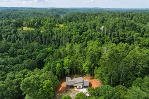 257 Gallery Ct, Ellijay, GA 30540 - Photo 59