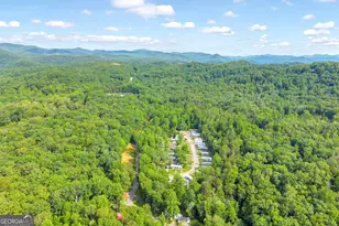 4960 Laurel Lodge Rd, Clarkesville, GA 30523 - Photo 45