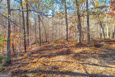Lot 12 N Hicks Road, Toccoa, GA 30577 - Photo 9