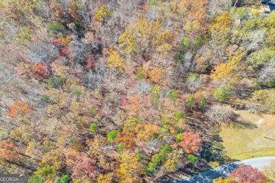 Lot 12 N Hicks Road, Toccoa, GA 30577 - Photo 15
