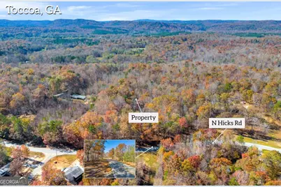 Lot 12 N Hicks Road, Toccoa, GA 30577 - Photo 3