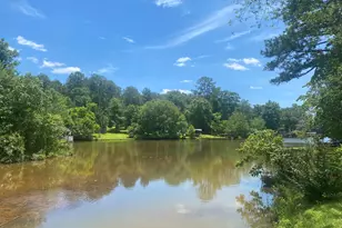 388 E Pine Lake Dr, West Point, GA 31833 - Photo 33