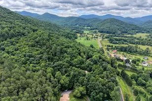2228 Walls Mountain, Hiawassee, GA 30546 - Photo 49