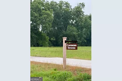 0 Bob Smith Road #2, Sharpsburg, GA 30277 - Photo 5