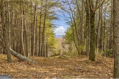 0 Eagle Ridge Trail #LOT 4 &amp; LOT 5, Cleveland, GA 30528 - Photo 27