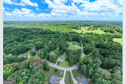 50 Walton Woods Drive, Newnan, GA 30263 - Photo 25