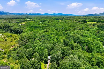 188 Seaborn Drive, Cleveland, GA 30528 - Photo 43