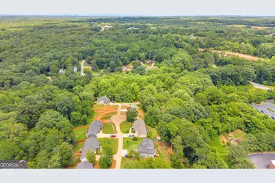 256 Lacount Lane, Clarkesville, GA 30523 - Photo 59