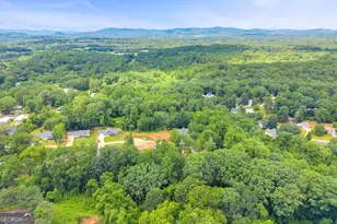 256 Lacount Ln, Clarkesville, GA 30523 - Photo 61
