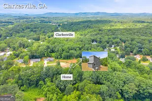 256 Lacount Ln, Clarkesville, GA 30523 - Photo 63