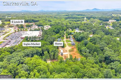 256 Lacount Lane, Clarkesville, GA 30523 - Photo 65