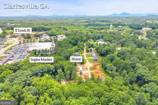 256 Lacount Ln, Clarkesville, GA 30523 - Photo 65