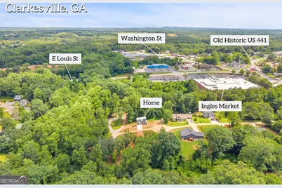 256 Lacount Lane, Clarkesville, GA 30523 - Photo 57