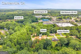 256 Lacount Ln, Clarkesville, GA 30523 - Photo 57