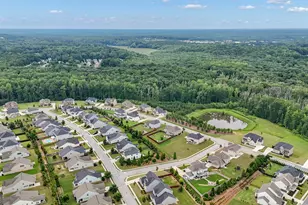 420 Southbridge Pass, Peachtree City, GA 30269 - Photo 49