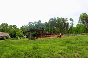 2570 Castleberry Bridge Rd, Dawsonville, GA 30534 - Photo 39