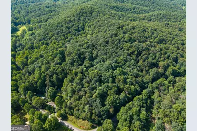 5198 Flat Branch Road, Ellijay, GA 30540 - Photo 11