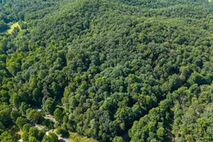 5198 Flat Branch Rd, Ellijay, GA 30540 - Photo 11