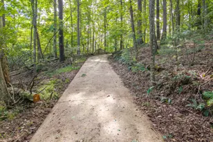 5198 Flat Branch Rd, Ellijay, GA 30540 - Photo 3